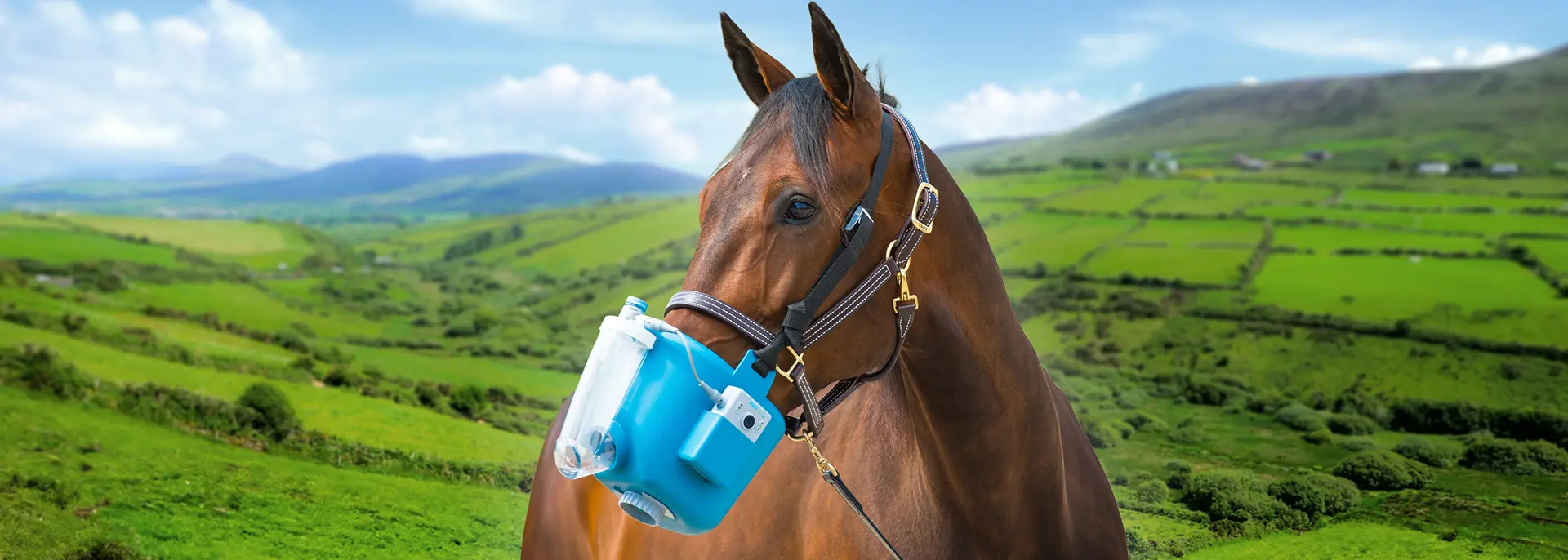 Flexineb Equine Nebuliser in use